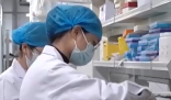 AI用几滴血就可预测上百种疾病 到底是不是真的？