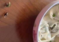 盒马馄饨疑吃出蟑螂 当地市监局回应 究竟是不是真的？