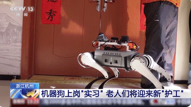 机器狗的技能值已经拉满了 为什么这么火爆？