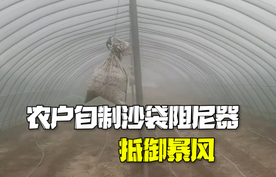 农户自制沙袋阻尼器抵御暴风 这也太霸气了