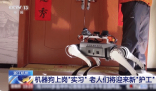 机器狗的技能值已经拉满了 为什么这么火爆？