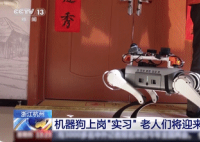 机器狗的技能值已经拉满了 为什么这么火爆？