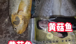 网购黄花鱼到手只有包装是黄的 到底是不是真的？