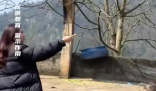 女子挑衅鸵鸟被一脚踹烂羽绒服 这也太倒霉了