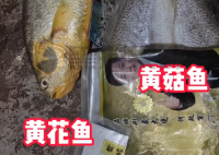 网购黄花鱼到手只有包装是黄的 到底是不是真的？