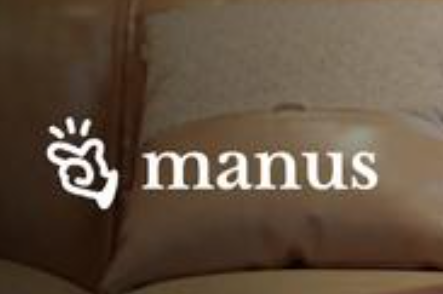 第一波用Manus赚钱的人出现了 为什么这么火爆？