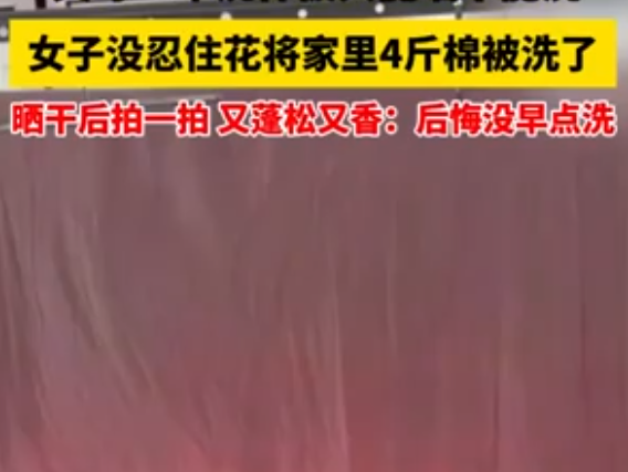 倔强女子花近两小时洗4斤重棉被 为什么引热议？