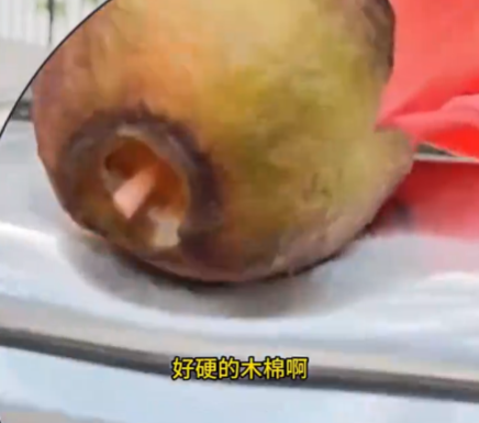 小伙将车停在木棉树下结果悲剧了 究竟是怎么回事？