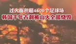韩国千年古刹被烧毁 实在太恐怖了