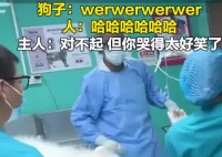 主人带狗狗做绝育哭声太惨引围观 究竟是怎么回事？