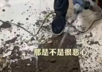 女子吐槽楼上邻居马桶正对自家厨房 实在太让人恶心了