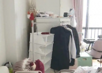 夫妻租房5年妻子多项指标异常 究竟是怎么回事？