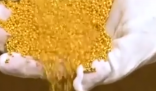 金价狂飙带火土法炼金 为什么价格上涨这么厉害？
