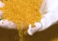 金价狂飙带火土法炼金 为什么价格上涨这么厉害？