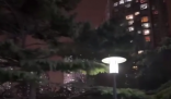 北京极端大风:树被吹倒 高楼轻晃 实在太恐怖了