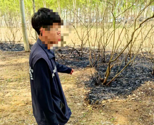 男子点燃杨柳絮引发火情被行拘 事件始末2025最新消息