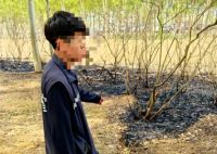 男子点燃杨柳絮引发火情被行拘 事件始末2025最新消息