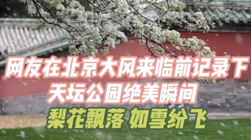 网友展示大风前天坛公园的绝美瞬间 到底是什么样的？