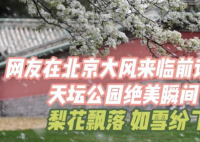 网友展示大风前天坛公园的绝美瞬间 到底是什么样的？