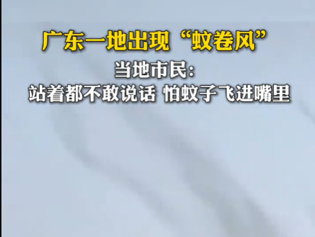 广东一地蚊子聚集飞舞似龙卷风 实在太罕见了
