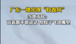 广东一地蚊子聚集飞舞似龙卷风 实在太罕见了