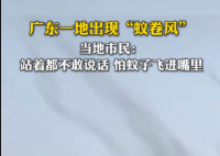 广东一地蚊子聚集飞舞似龙卷风 实在太罕见了