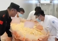 女子重度抑郁治愈送999朵玫瑰谢医生 实在太感人了