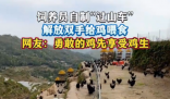 饲养员自制“过山车”给鸡喂食 这也太霸气了