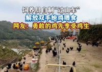 饲养员自制“过山车”给鸡喂食 这也太霸气了