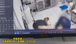 江苏一宠物医院被曝粗暴摔打宠物狗 实在太恐怖了
