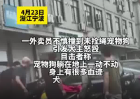 外卖员撞死未牵绳宠物狗被打 为什么引争议？