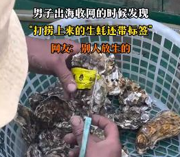 男子出海打捞上来的生蚝带商品标签 到底是什么情况？
