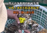 男子出海打捞上来的生蚝带商品标签 到底是什么情况？