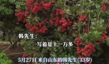 90后小伙拍下1300年荔枝树采摘权 真有这么久吗？