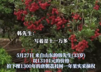 90后小伙拍下1300年荔枝树采摘权 真有这么久吗？