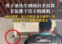 男子洗空调捅鼠窝 老鼠下饺子般逃散 实在太恐怖了
