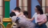 迪士尼打架是否互殴还需细心调查 为什么打架是什么原因？