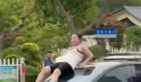 女子当街打砸汽车:系精神病发作 究竟是怎么回事？