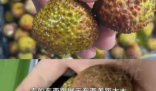 8岁男孩花1万多网购26箱荔枝 为什么引争议？