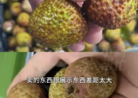 8岁男孩花1万多网购26箱荔枝 为什么引争议？
