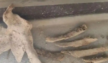 新房地下挖出尸骨 住建局介入协调 究竟是怎么回事？