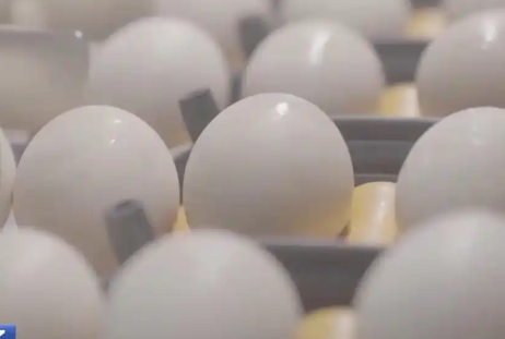 医生称无菌蛋并非百分百无细菌 究竟是什么意思？