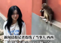 女生投喂黔灵山猴子被扇巴掌 真相简直太意外了