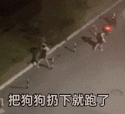 小狗遭主人2次扔弃哀嚎仍被遗弃 实在太让人心疼