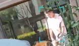 朋友用狗喝水的盆浇花被狗撕咬 事件始末2025最新消息