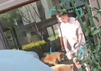 朋友用狗喝水的盆浇花被狗撕咬 事件始末2025最新消息