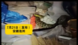 老人在杂物中发现“看家蛇” 简直令人惊个呆