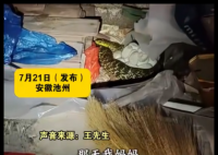 老人在杂物中发现“看家蛇” 简直令人惊个呆
