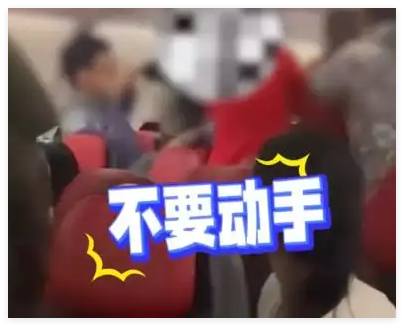 警方通报多名乘客在飞机上打架 到底是什么情况？