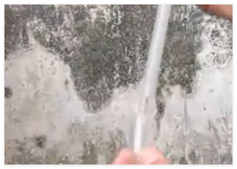 广东灭蚊next level:放蚊子吃蚊子 究竟是什么样的？